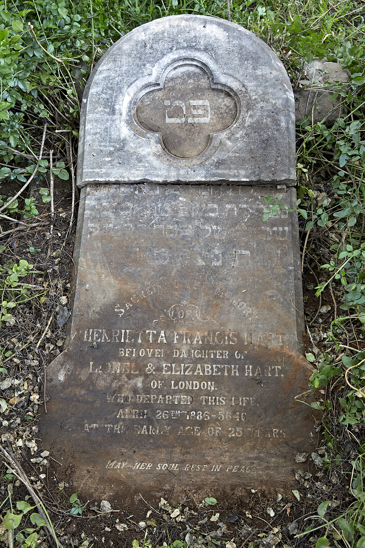 graves/new_tombstone2/DIGSB40152.jpg